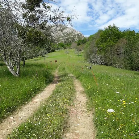 Holiday home Llanes-llumedian
